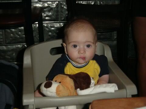 Name: DSC01328a.jpg
Views: 39
Size: 19.4 KB