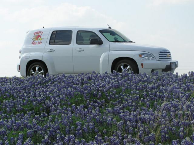 Name:  resized hhr bluebonnets.jpg
Views: 102
Size:  54.7 KB