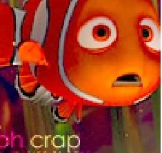 Name:  nemo.jpg
Views: 28
Size:  15.4 KB
