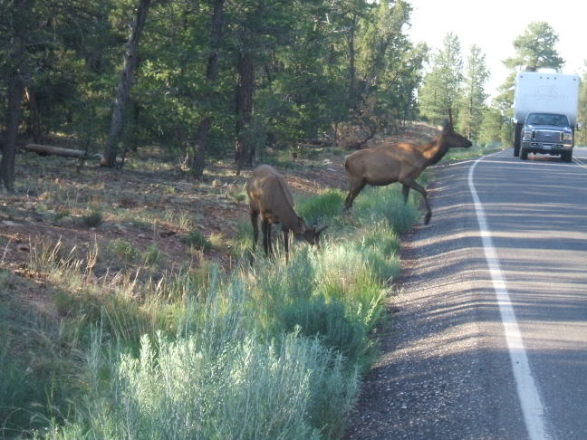 Name:  DSCF0588.jpg
Views: 89
Size:  71.5 KB