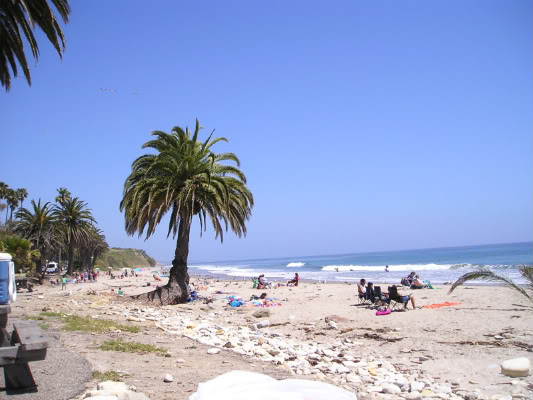 Name:  P1010105-1.jpg
Views: 78
Size:  48.5 KB