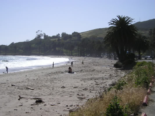 Name:  P1010111-1.jpg
Views: 37
Size:  48.8 KB