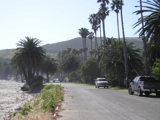 Name:  P1010112-1.jpg
Views: 44
Size:  55.3 KB