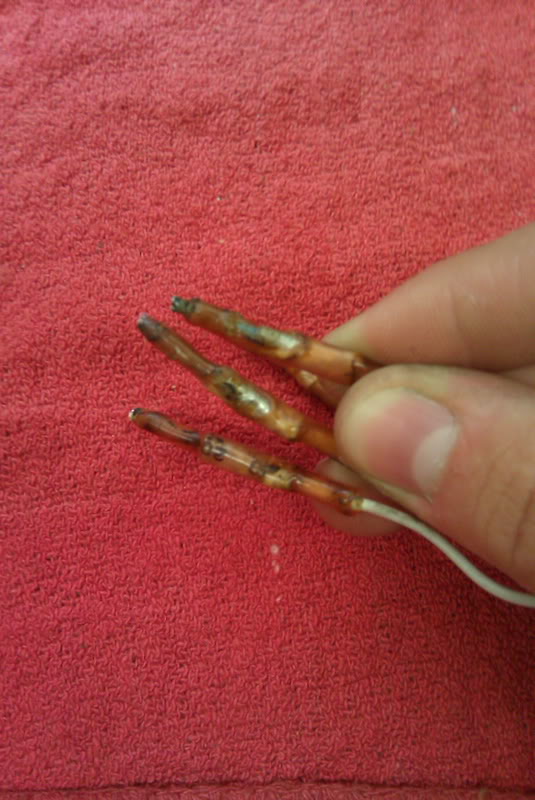 Name:  connectors1.jpg
Views: 56
Size:  80.0 KB