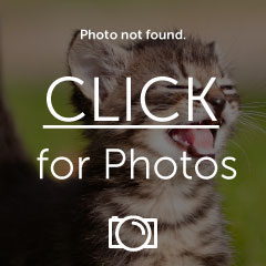 Name:  CIMG1786.jpg
Views: 305
Size:  14.0 KB